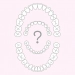 乳歯の生える時期・永久歯への生え変わり時期や順番は？